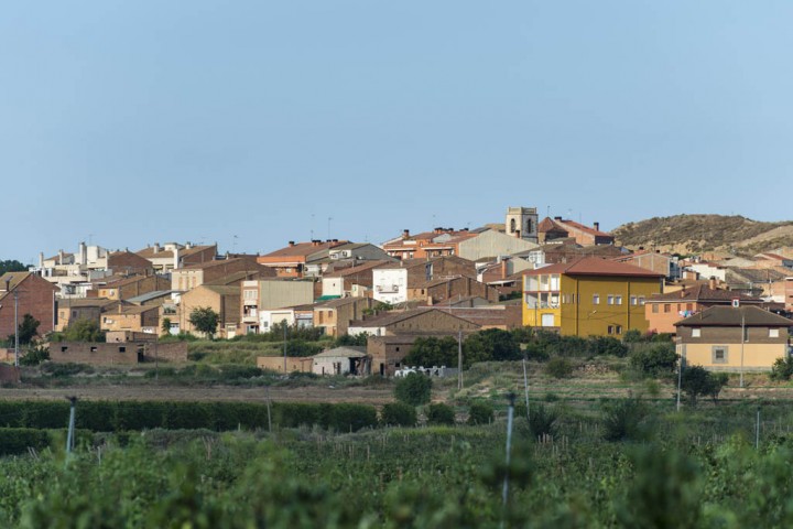 ALCOLETGE