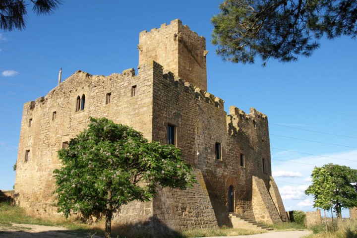 FLOREJACS CASTELL DE LES SITJES