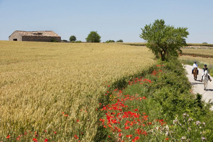 A cavall per la Segarra, l'Ametlla de Segarra