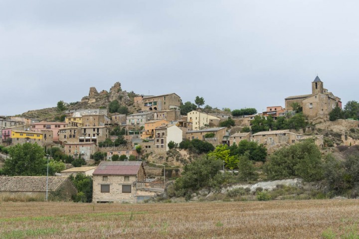 OLIOLA