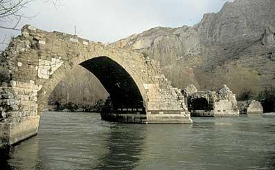 ORI324imatge1_editora_55_6-2_1