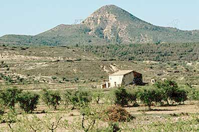 ORI343imatge1_editora_55_11-5_1