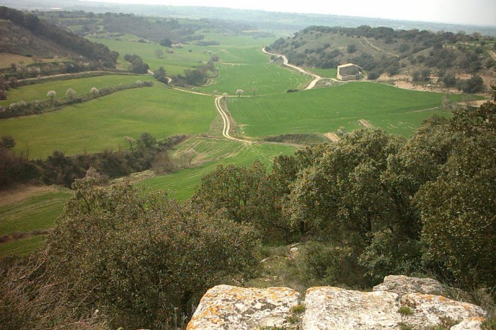 TARROJA DE SEGARRA