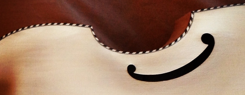 Viola de gamba (Santi Miret)