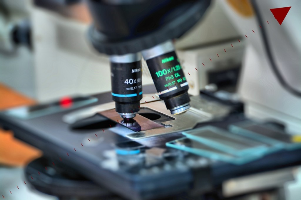 Fomentem desenvolupament