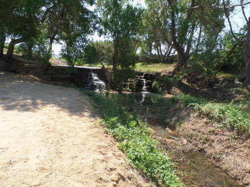 ORIprenyanosa_editora_2_6461_0_1