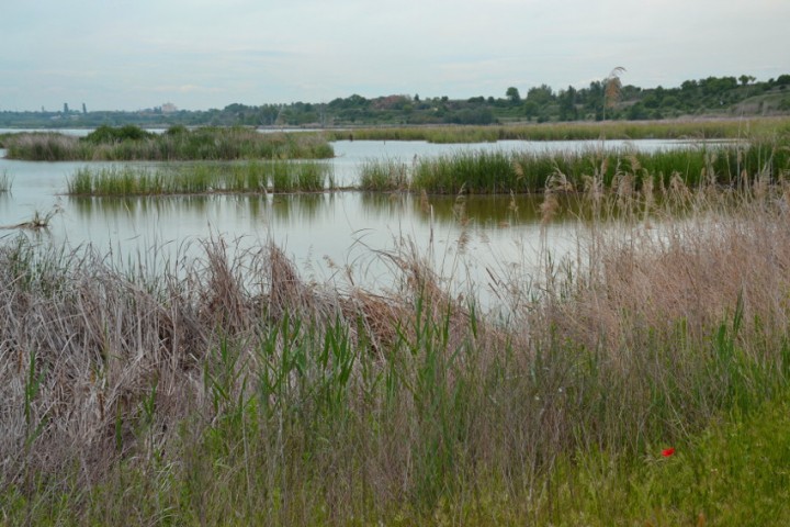 Estany d'Ivars d'Urgell i Vila-sana