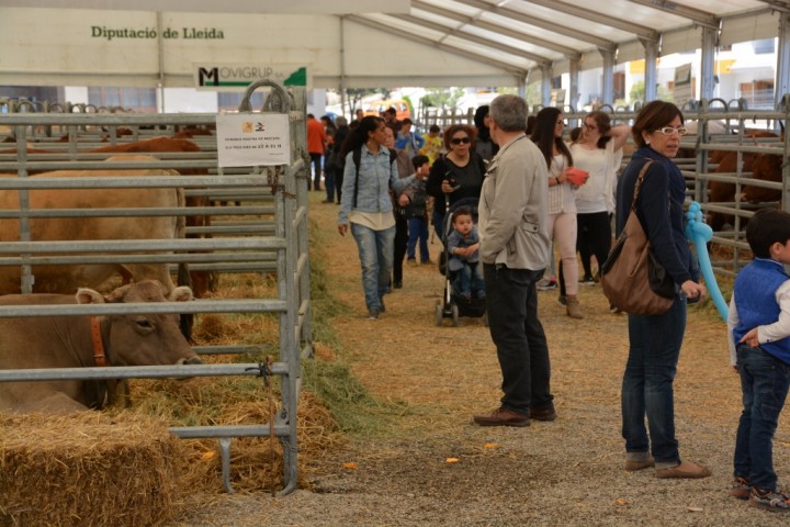 Fira de Sant Isidre de Solsona