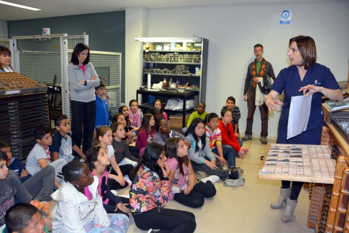 La Diputació de Lleida reinicia les visites guiades a la Sala Temàtica d’Arts Gràfiques