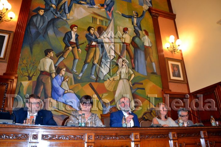 Ple de la Diputació de Lleida de juny 2017